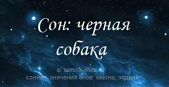 Сонник-толкование снов собака. Если снится черная собака. Соник приснился пес черный. Сонник-толкование снов собака большая черная.