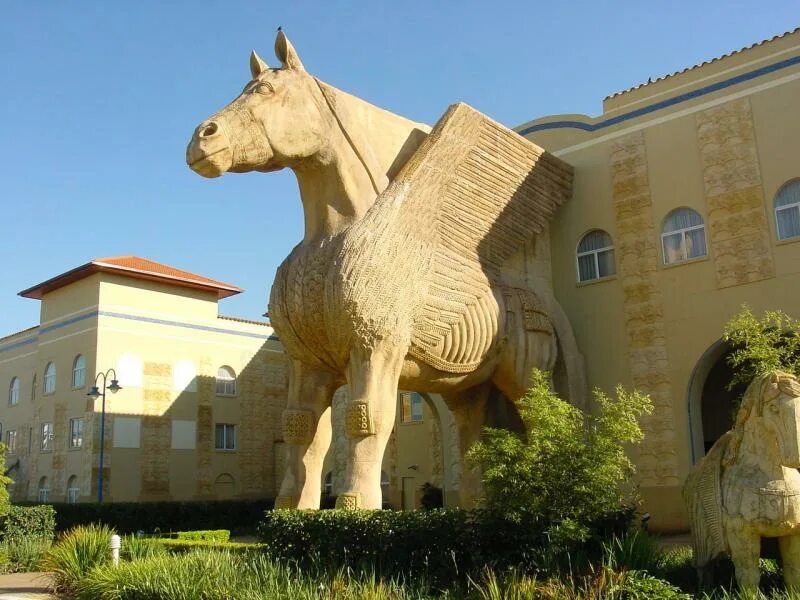Horse отель. Голден хорс. голден хорс таганрог. город в африке питермарицбург. golden horse таганрог гостиница.