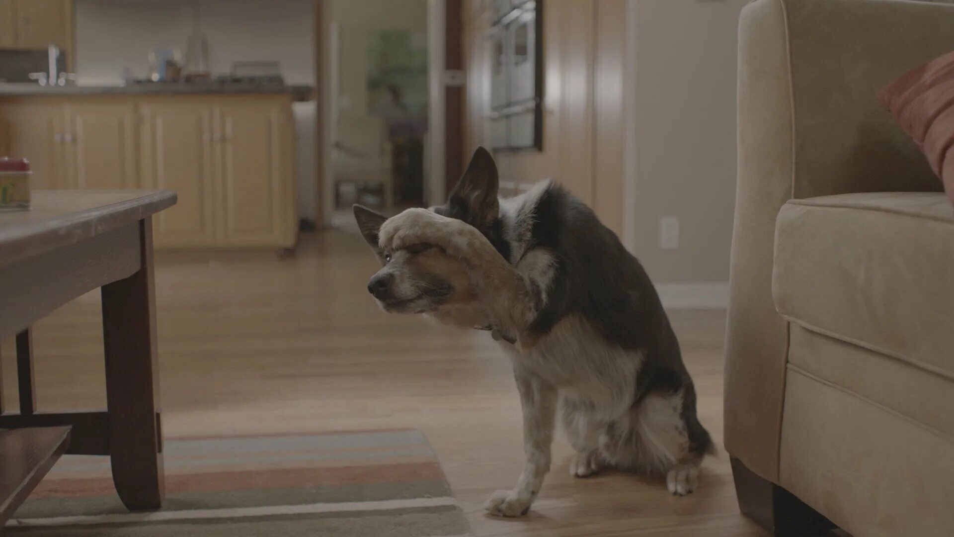 один дома 2022. один дома 2021. Odna doma 2023. домой фильм 2021. один дома 2021.