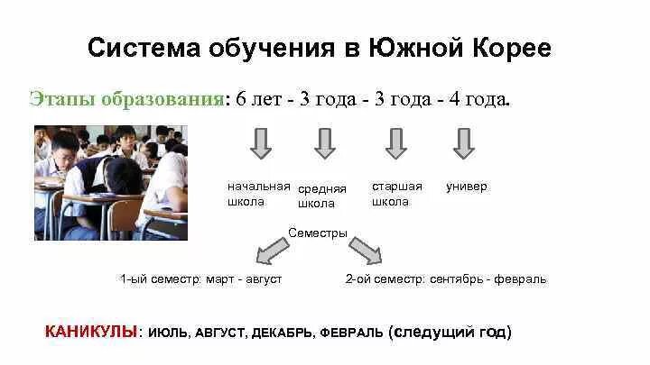 Три класса образования. Система образования в Южной Корее. Система образования Кореи схема. Школа в Корее система образования. Оценки в Южной Корее в школе.