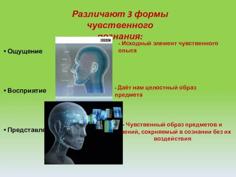 Направление признающее чувственный опыт знаний. Чувственное познание представление. Исходный элемент чувственного опыта. Чувственный опыт пример. Восприятие форма познания.