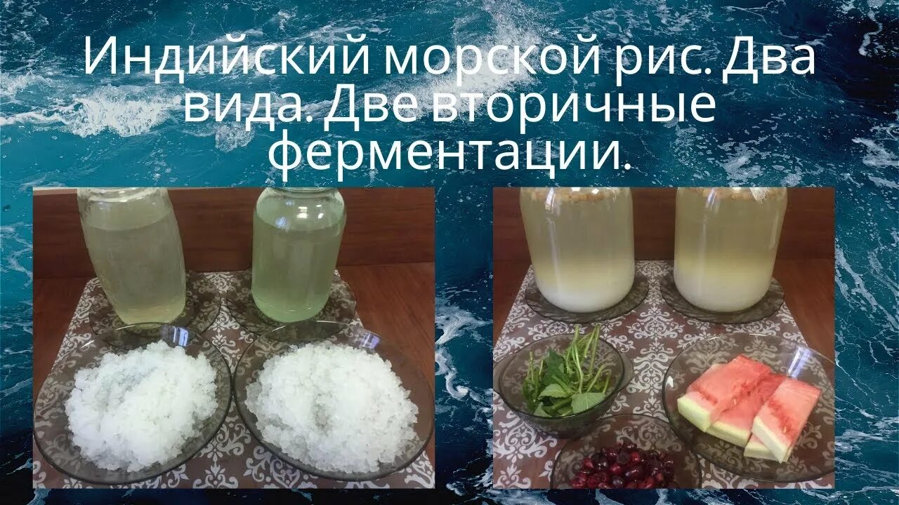 Польза индийского гриба