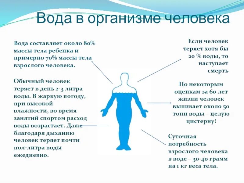 Низкое содержание воды в организме. Ода в организме человека.. Вода в организме человека. Важность воды для организма человека. Роль воды в организме человека.