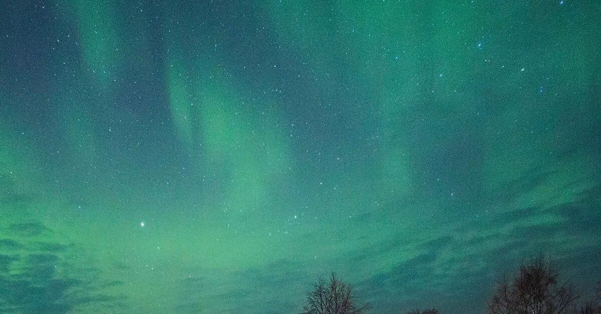 Зеленое небо зимой. Зеленое небо. небо зеленоватый оттенок. зеленое небо эстетика. темно зеленое небо.