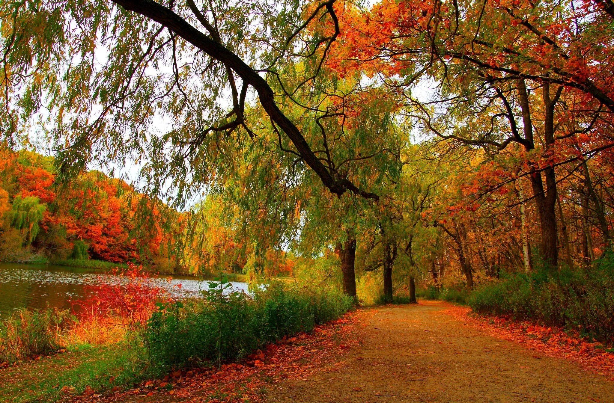 Осень фото красивые. Валерий Брюсов ранняя осень. Осенний пейзаж. Природа осень. Ранняя осень.