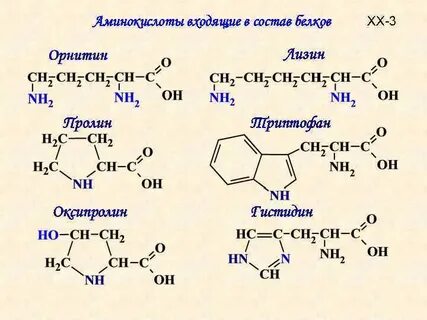 Триптофан глицин