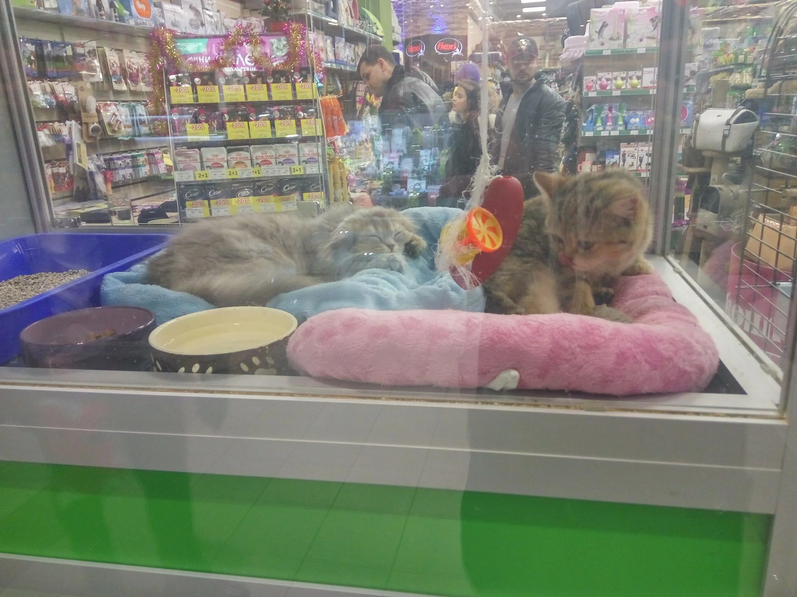 центр правовой зоозащиты