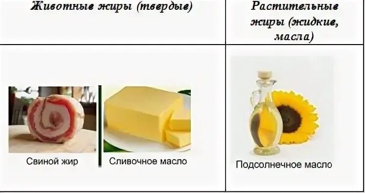 Растительные и животные жиры. Животные жиры и растительные жиры. Твердый жир растительного происхождения. Жидкие животные жиры.