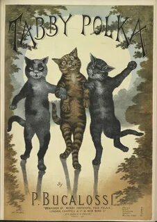 Постер кошка