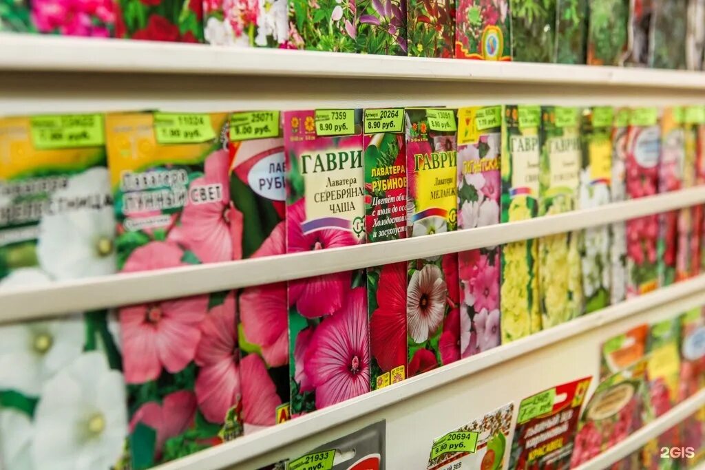 Купить семена в твери. Магазин семян. Специализированные магазины семян. Розничные магазины семян в Москве. Магазин семян в современном стиле.