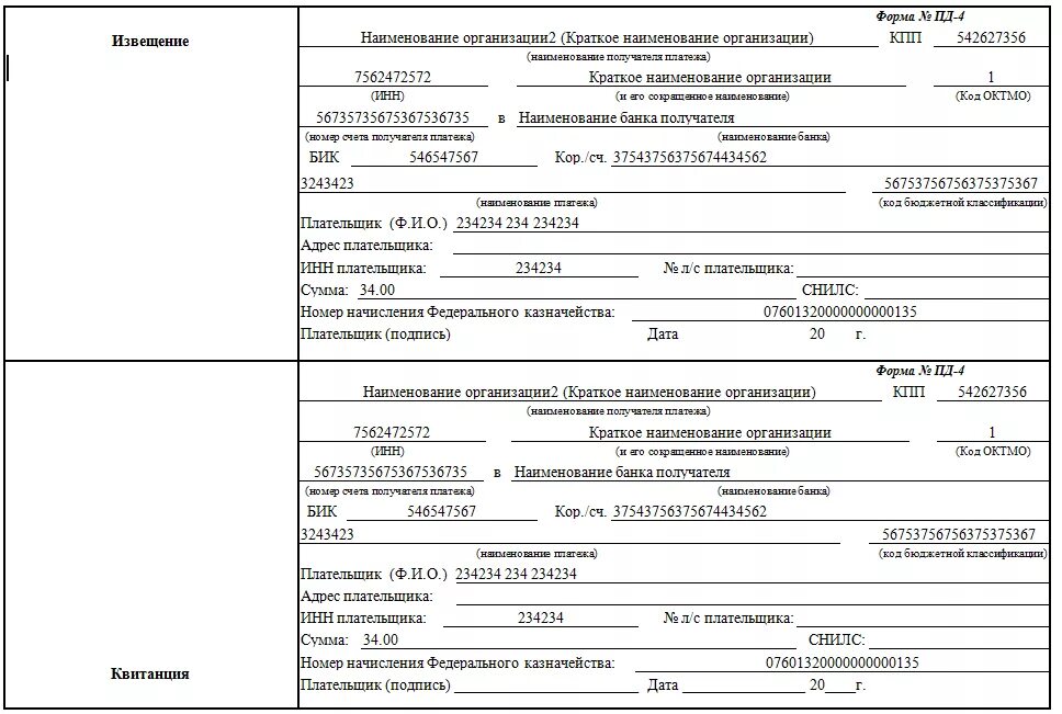 Госпошлина в суд юридическое лицо. Квитанция на оплату госпошлины форма Пд-4. Форма сб РФ Пд-4. Квитанция форма Пд-4 бланк. Квитанция об оплате госпошлины пустая.