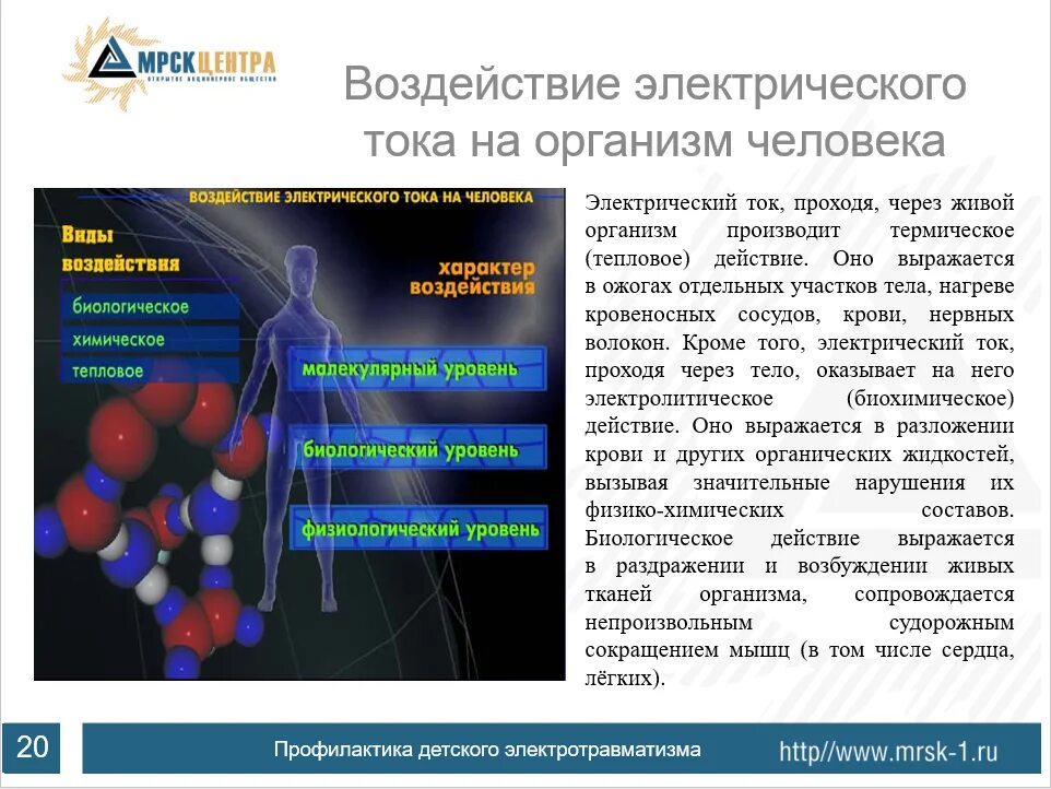 Живые организмы физико химические. Воздействие электрического тока на организм человека. Воздействие электрического тка. Влияние электрического тока на тело человека. Влияние тока на организм.