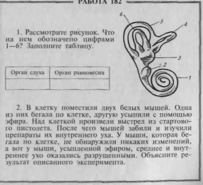 Какой цифрой обозначает вестибулярный аппарат. Пробы вестибулярного аппарата. Исследование вестибулярного аппарата заключение. Оценка состояния вестибулярного аппарата. Справка о вестибулярном аппарате.