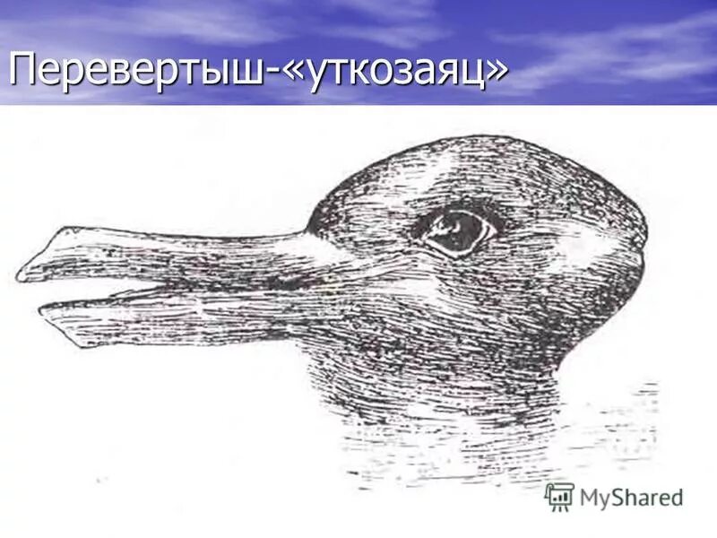 Эстрес. Задумчивая девушка. Волнение 9 букв. Эмоциональные переживания. Удивленная девушка.