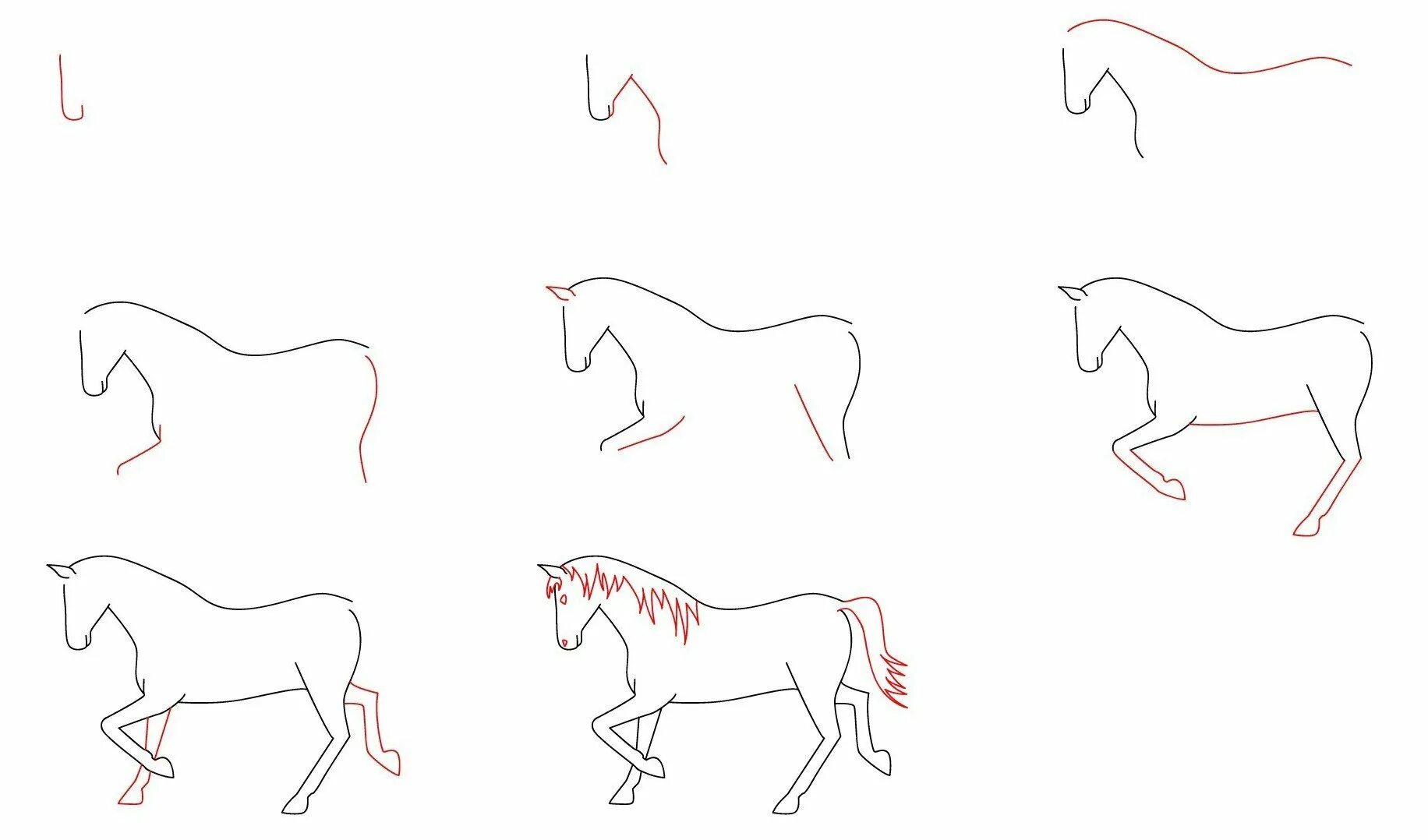 Схема рисования лошади. Поэтапный рисунок лошади. Пошаговое рисование лошади. Поэтапное рисование лошади для детей.