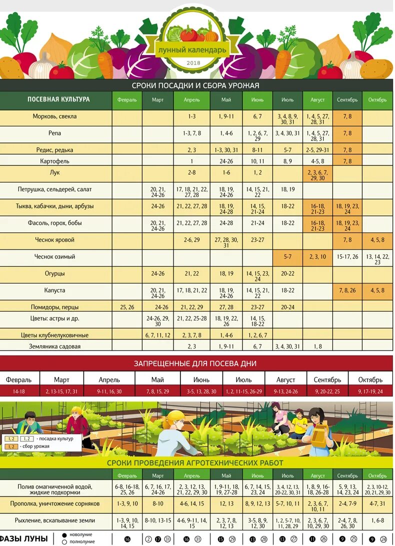 Календарь садовода россия. Лунный посевной календарь. Луныйпосевной календарь. Лунныи календар ьпо севно и. Календарь посадки овощей.