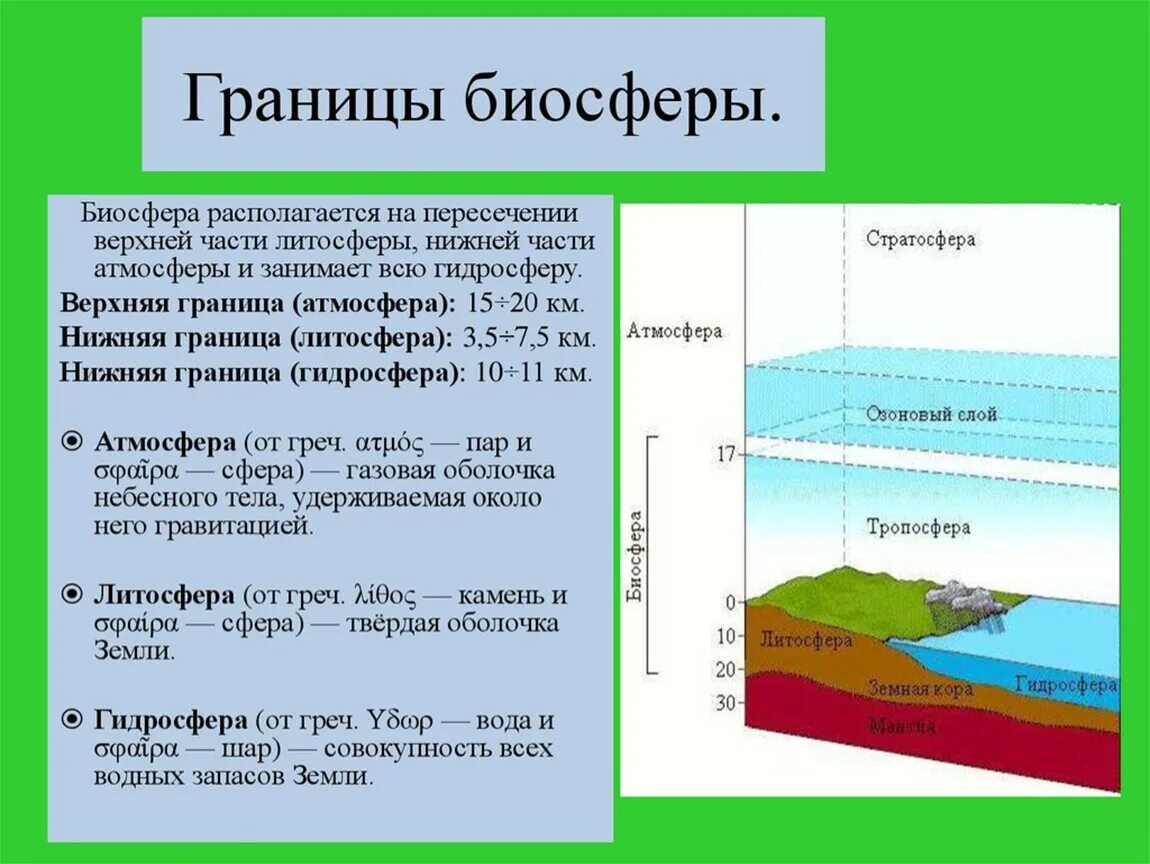 Литосфера гидросфера атмосфера Биосфера. Атмосфера литосфера гидросфера Биосфера Тропосфера стратосфера. Оболочки биосферы таблица. Границы биосферы атмосфера гидросфера литосфера.