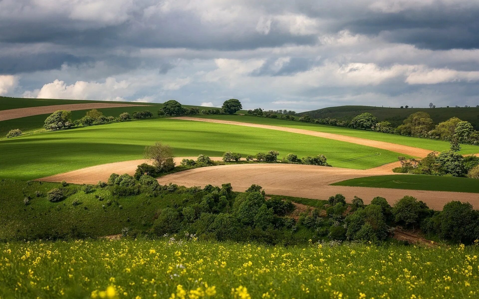 Ландшафт Кампос. Поля Абраама. Природа поле. Красивый вид поля. Header fields