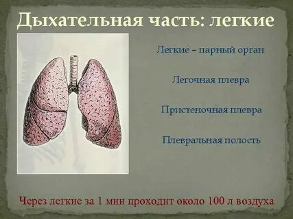 Работы легкие на 6