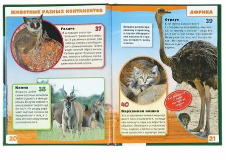 Практические работы животный мир