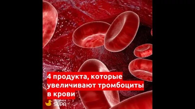 Еда для повышения тромбоцитов в крови. Еда которая повышает тромбоциты в крови. Средства для повышения тромбоцитов. Продукты поднимающие тромбоциты в крови после химиотерапии.