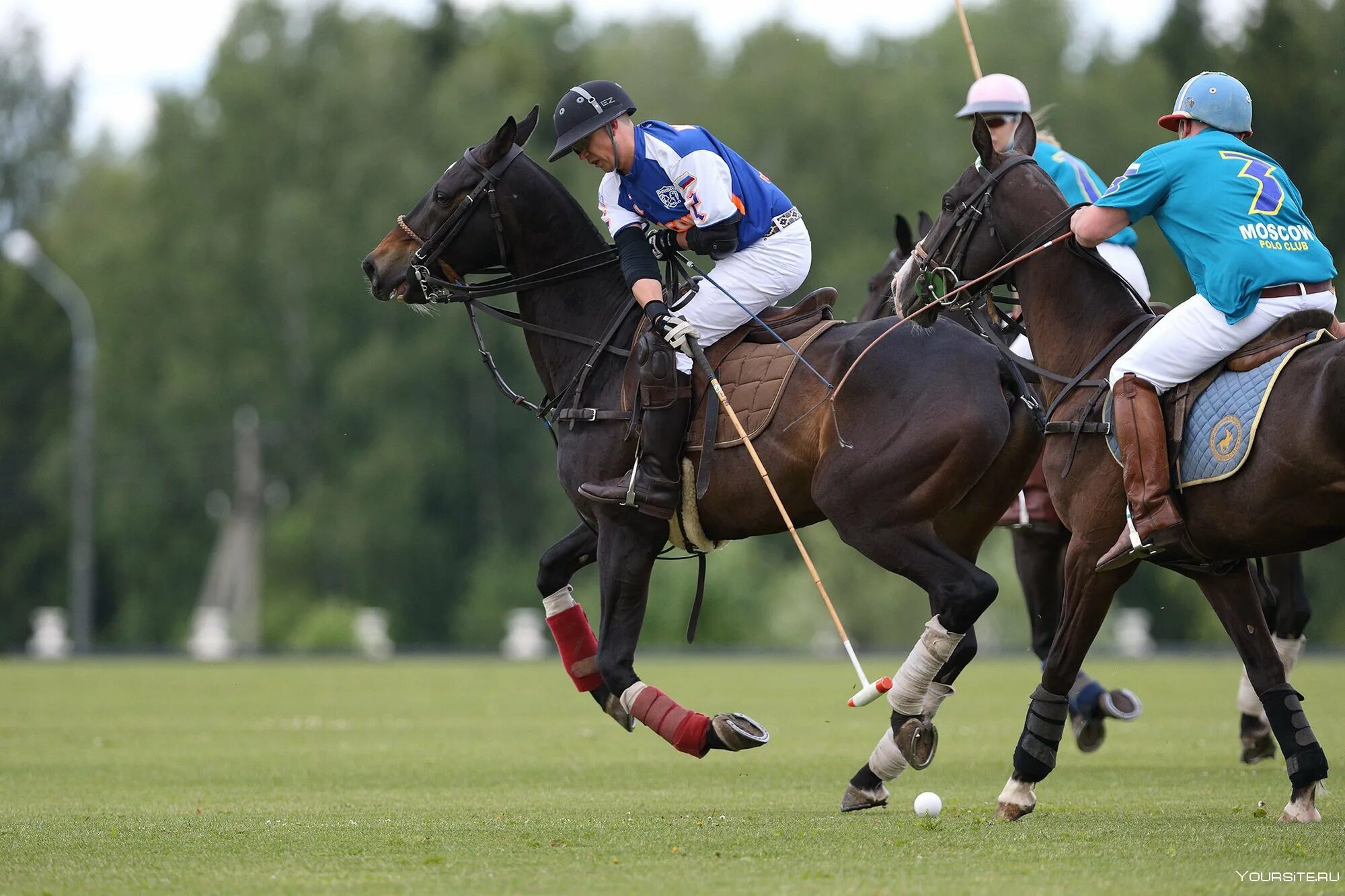 Поло для конного спорта. Polo Sport поло. Что такое поло Конное поло. Конное поло Англия. Кони вид спорта