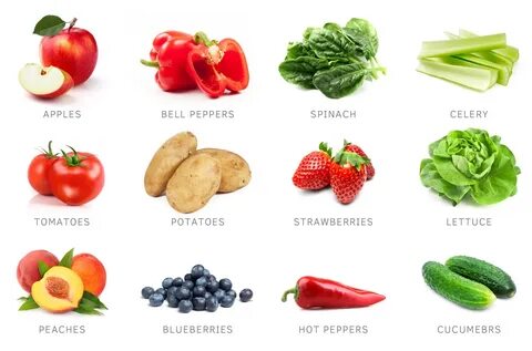 What vegetables do you know