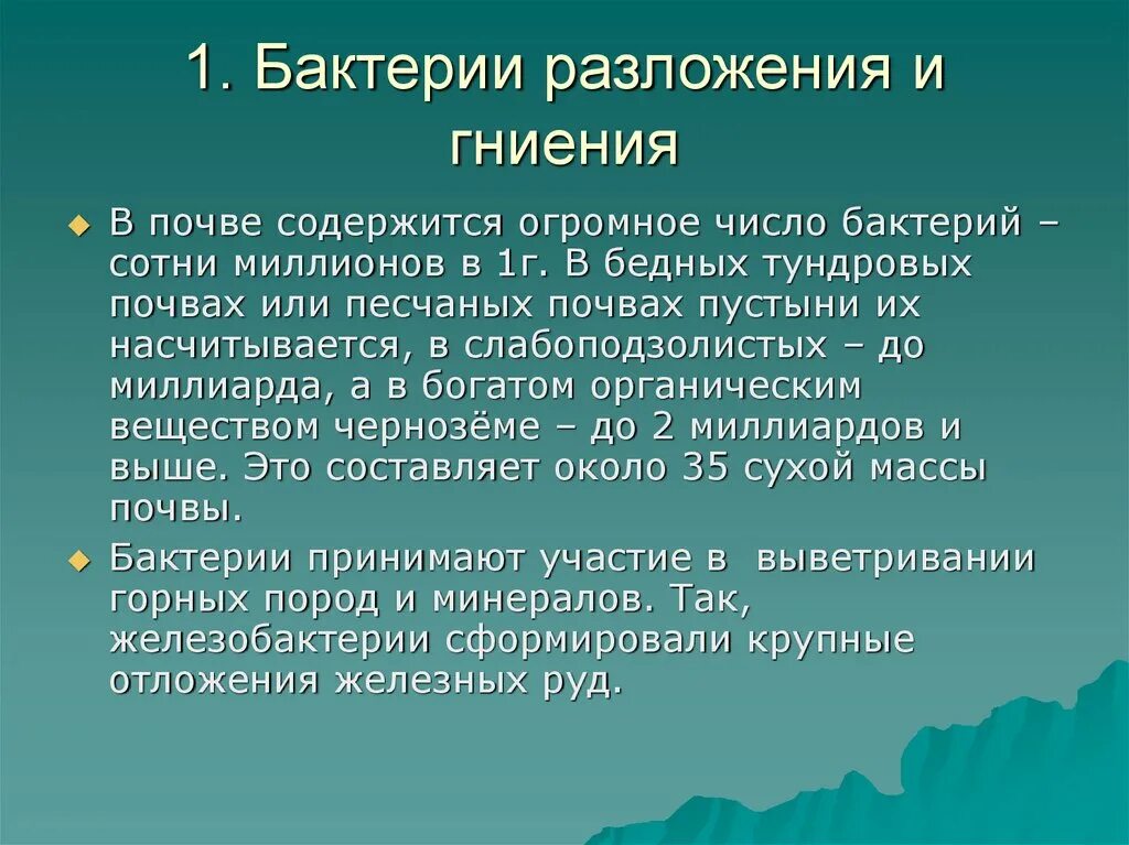 Бактерии гниения значение. Бактерии гниения. Бактерии разложения и гниения. Бактерии гниения роль в природе. Характеристика бактерий гниения.