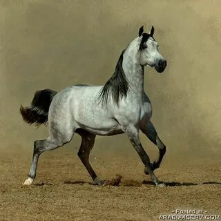 Әйелім екеуміз жыныстық қатынассыз өмір сүреміз.