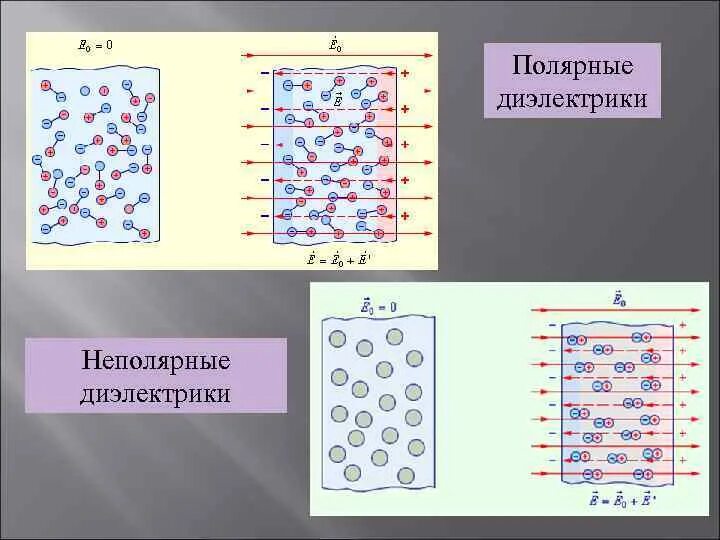 Поляризация молекул диэлектрика в электростатическом поле. Поляризация неполярных диэлектриков. Поляризация Полярных диэлектриков. Полярные, неполярные и ионные диэлектрики.. Полярные и неполярные диэлектрики в электростатическом поле.
