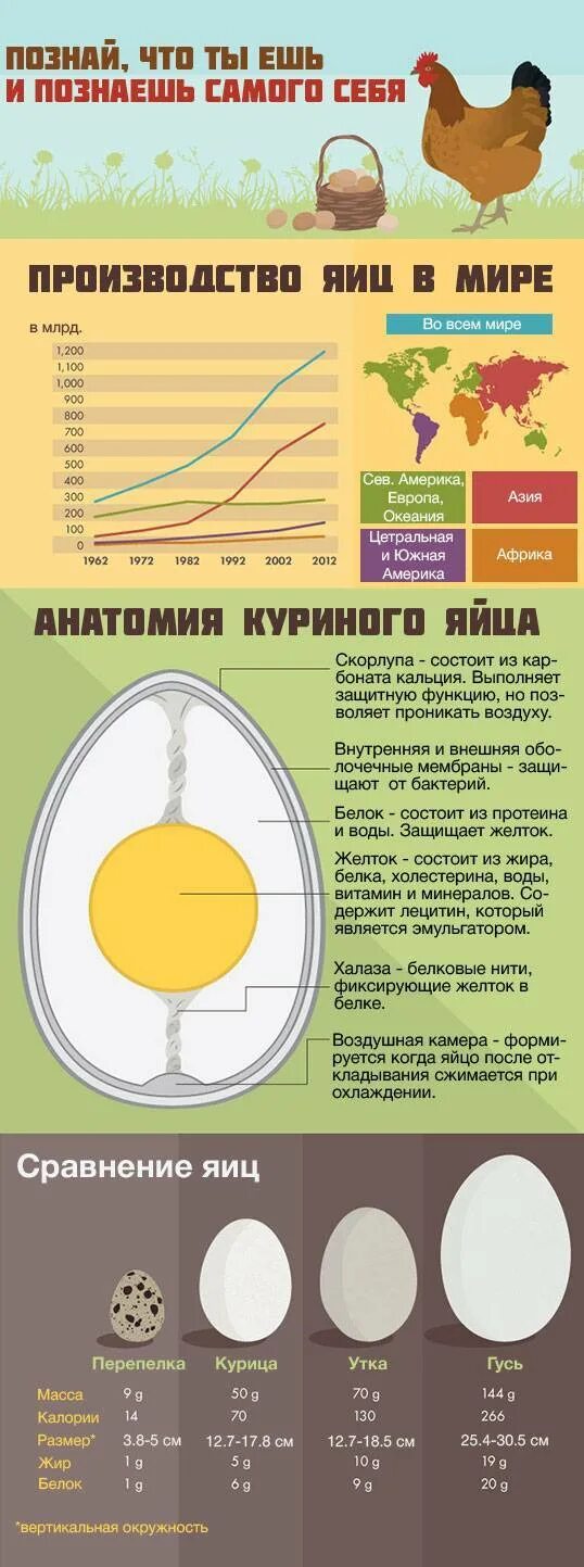 Яйцо полезные вещества. Содержание полезных веществ в яйце. Что полезного в яйцах куриных. Полезные вещества в яйце курином.