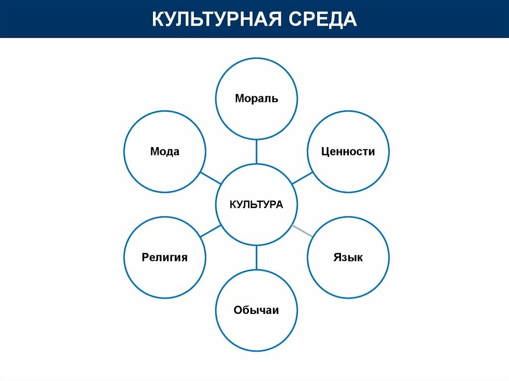 Социальное окружение примеры. Культурная среда. Элементы социально культурной среды. Социально-культурная среда организации. Факторы соц культурной среды.