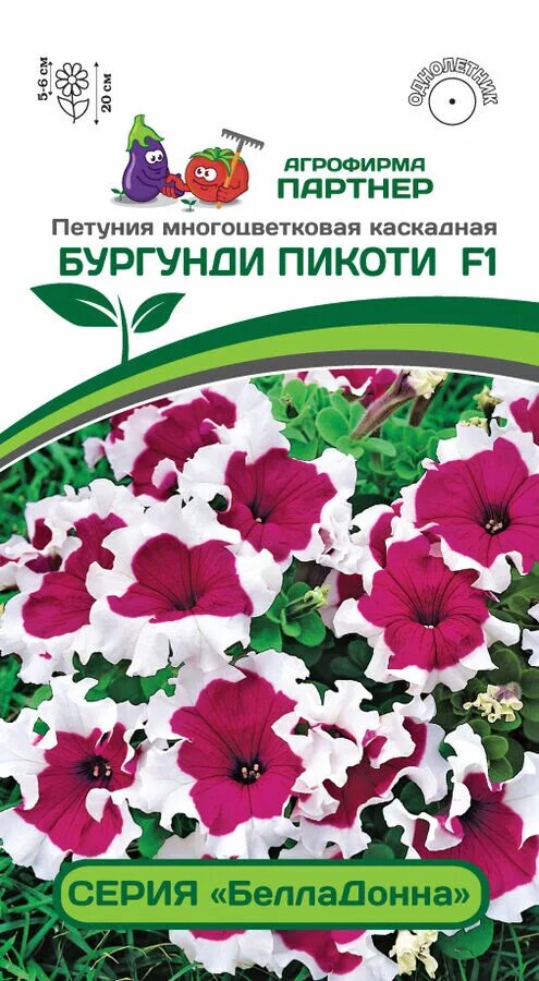 Купить семена петунии партнер. Петуния "белладонна" бургунди Пикоти f1 многоцветковая каскадная. Петуния Пикоти бургунди f1. Петуния партнёр бургунди Пикоти.