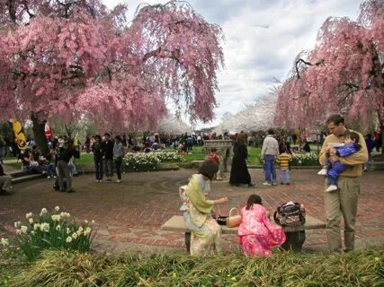 Spring events