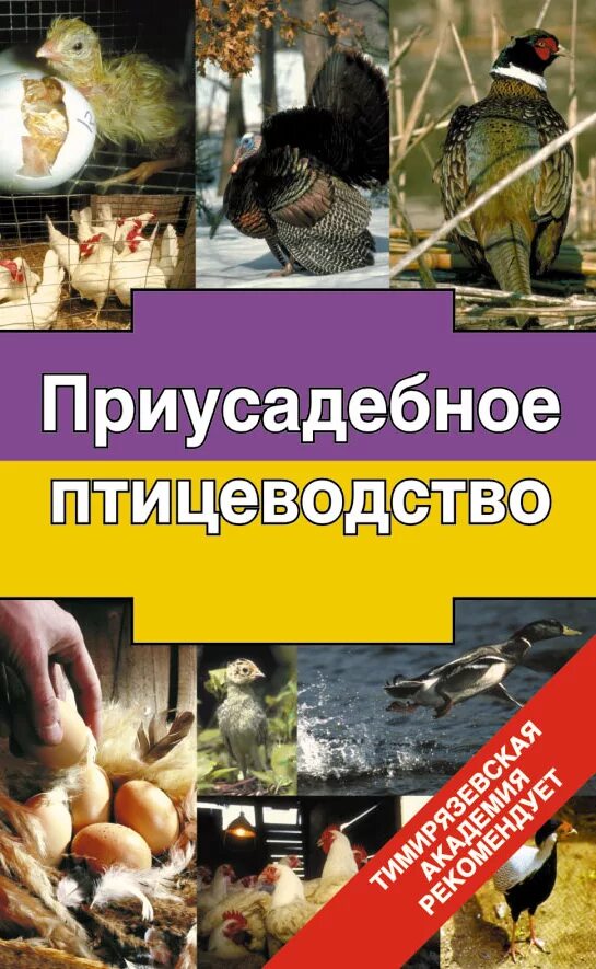 Содержание птиц книги. Приусадебное Птицеводство а.и Бондарев. Книга по птицеводству. Птицеводство. Птицеводство Советская книга.