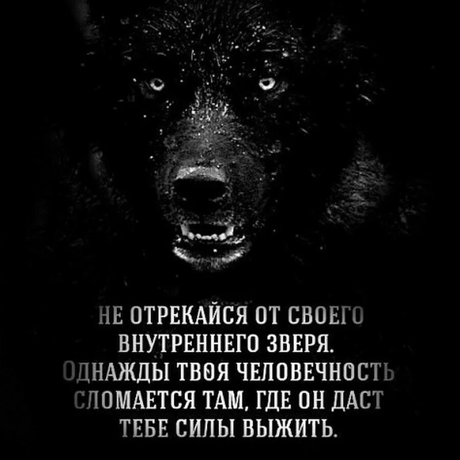 Видео никому не показывай. Блатные цитаты. Блатные цитаты со смыслом. Криминальные высказывания.