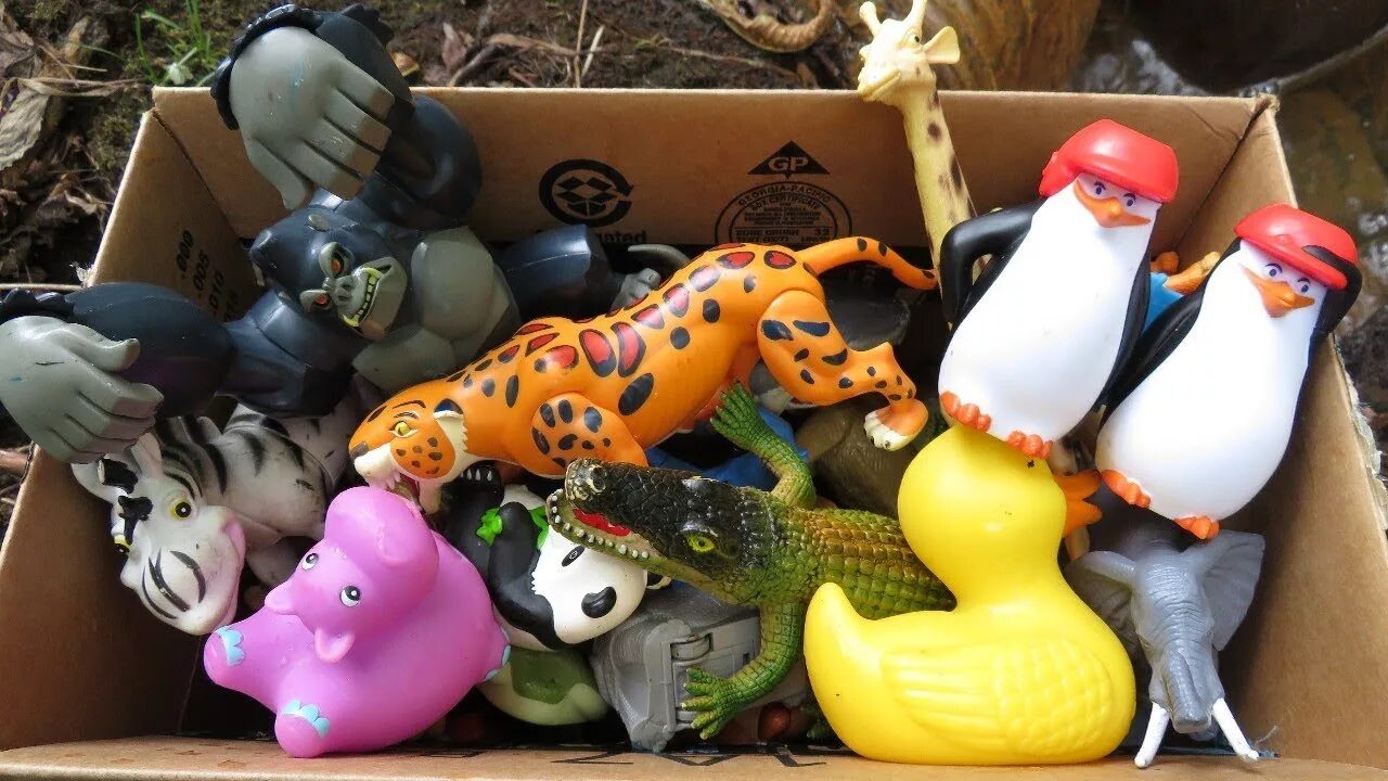 Kids box wild animals