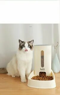 Умная миска для кошек