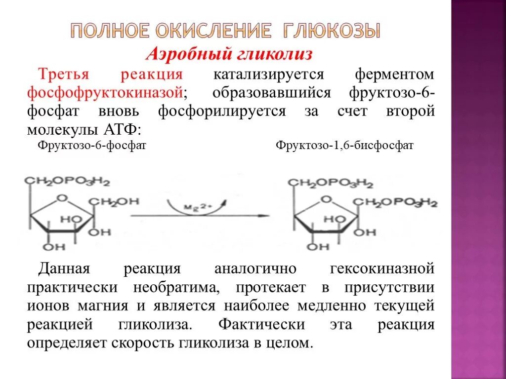 4 этап окисления глюкозы. Полное окисление 1 молекулы Глюкозы. Фруктозо 6 фосфат образуется. Аэробное окисление Глюкозы формулы. Полное окисление Глююкозы.