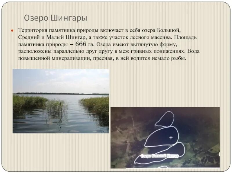 Озеро большой Шингар. Озеро среднее Озерное. Озеро Шингар Курганская область. Озеро 666.