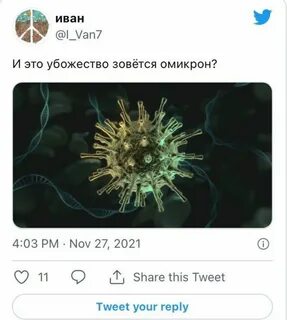 Какой новый вирус 2024