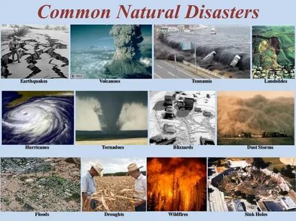 Fill in avalanche tornado pollution endangered