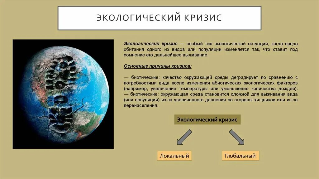 Понятие экологического кризиса. Причины современного глобального экологического кризиса. Глобальный и локальный кризис. Экологический кризис доклад. Глобальная экологическая проблема тест