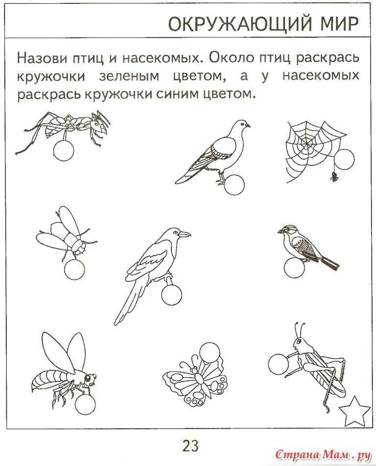 Задания по ознакомлению с окружающим для детей 5 6 лет. Тестовые задания "окружающий мир", для детей 5-6 лет. Задания по окружающему миру для детей с ЗПР. Задания по окружающему миру для дошкольников 1 класс.