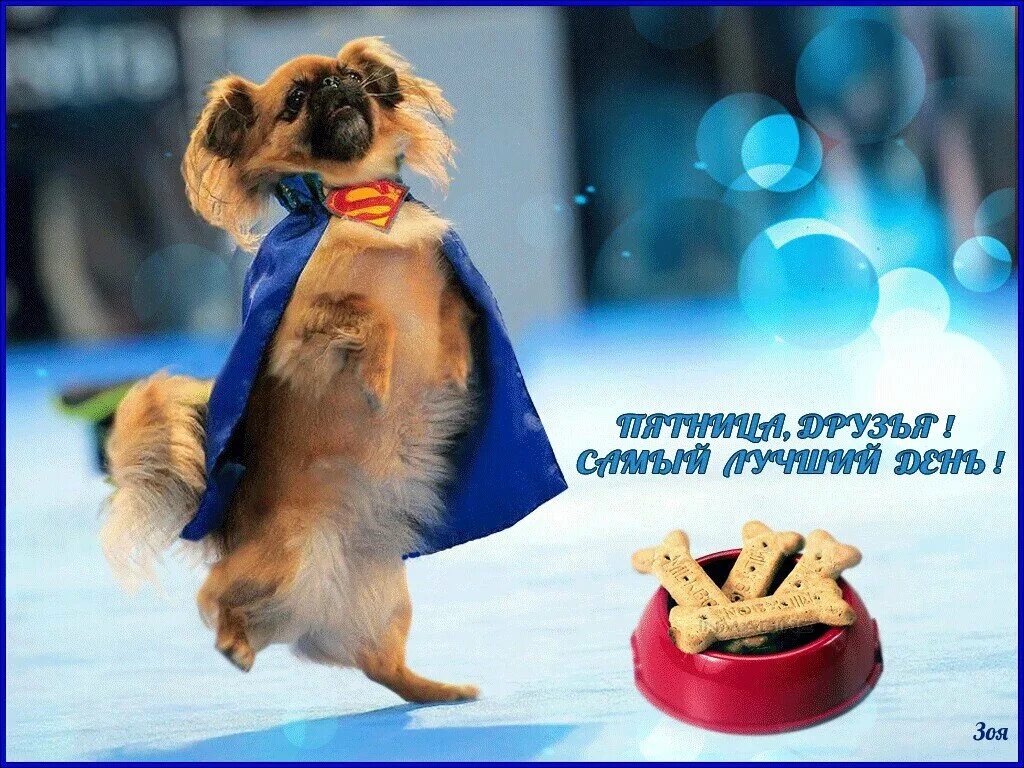 В любой удобный день