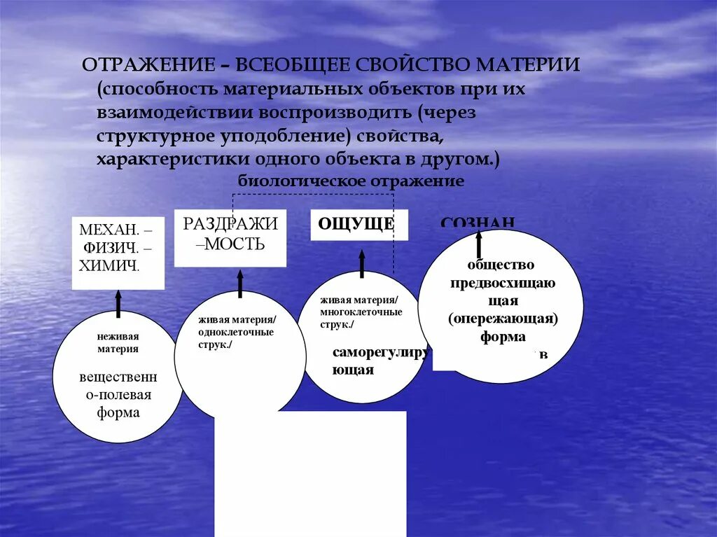 Что отражается в форме в. Отражение как всеобщее свойство материи. Отражение свойство материи. Формы отражения материи. Формы отражения материи в философии.