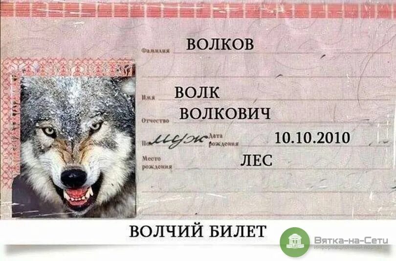 Волк новое слово. Волчий билет. Фамилия Волков. Фамилия волк.