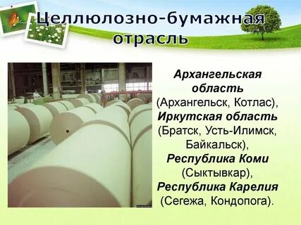 Проект производства бумаги