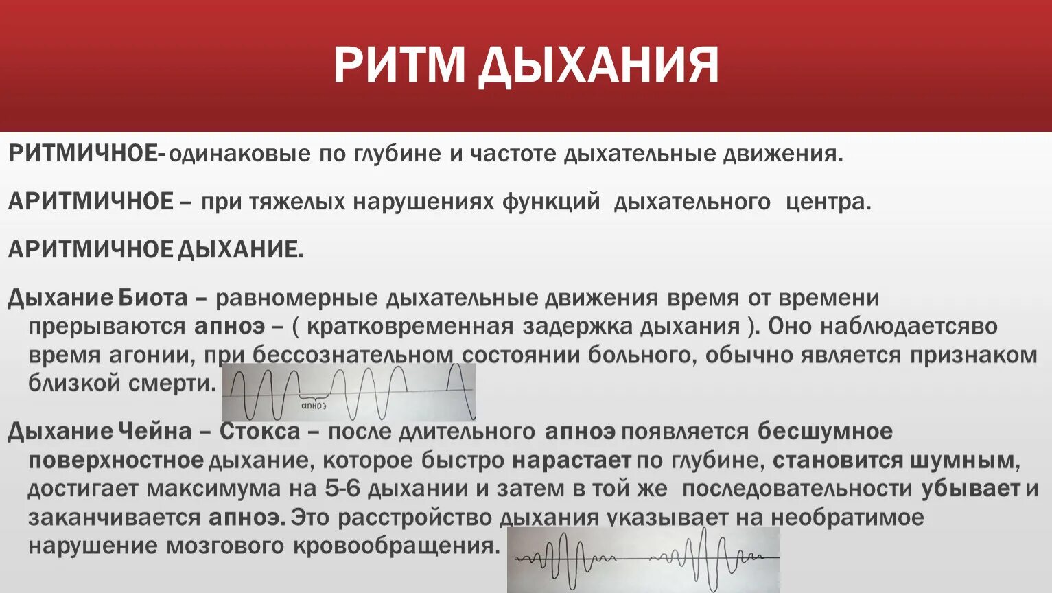 Исследование частоты дыхания человека. Ритм дыхания. Измерение частоты и ритма дыхания. Ритмичное дыхание. Ритм ЧДД.