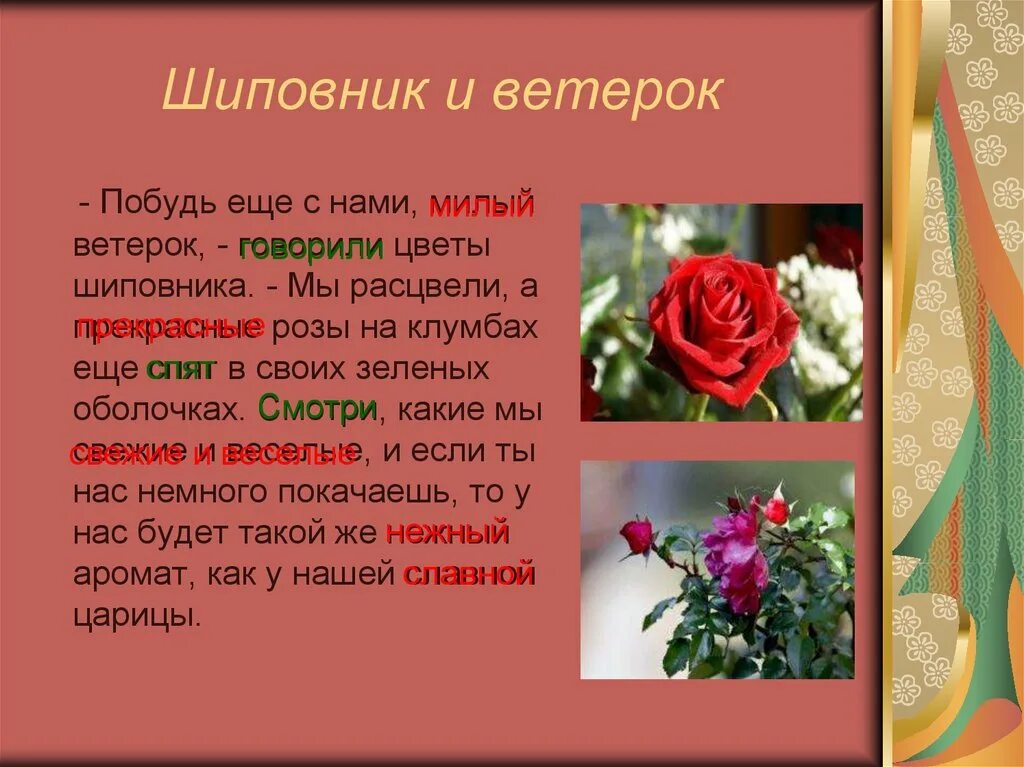 Как попросить цветы. Цветок с ароматом роз. О чем говорят цветы. Рассказ о чем говорят цветы. О чем говорят цвет роз цветы.